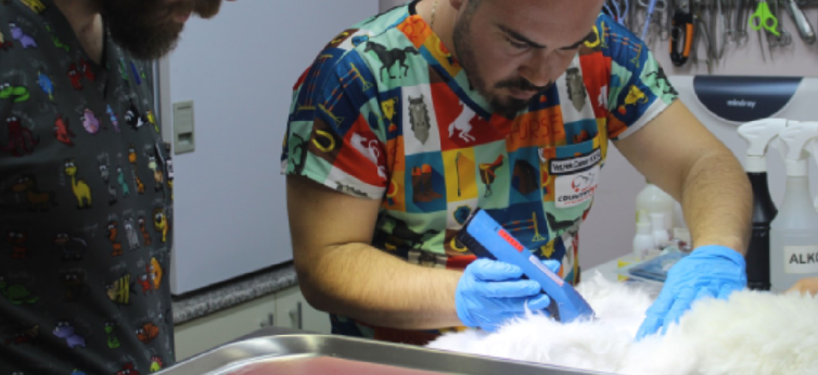 Pet Kuaförünün Önemi: Sevimli Dostlarınıza Özen Gösterin, Pet Kuaförünün Önemi: Sevimli Dostlarınıza Özen Gösterin