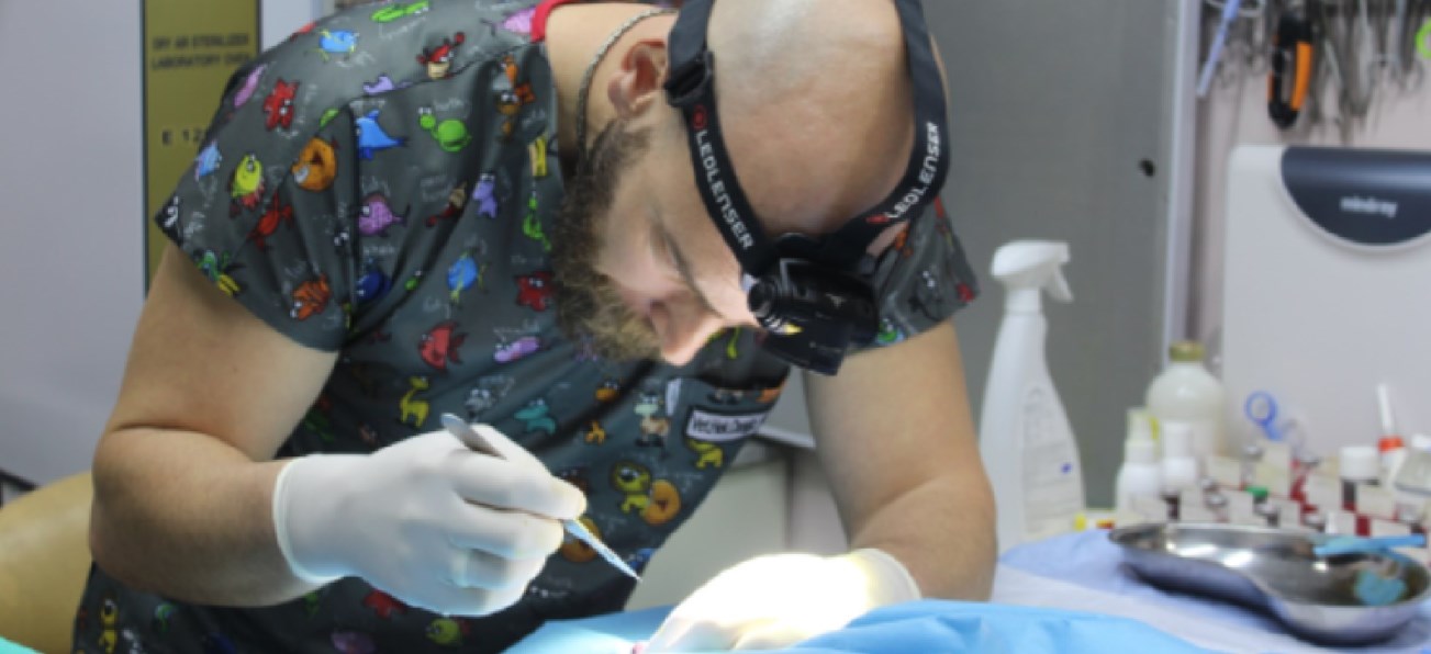 Pet Cerrahisi: Sağlık İçin Hayati Müdahaleler, Pet Cerrahisi: Sağlık İçin Hayati Müdahaleler