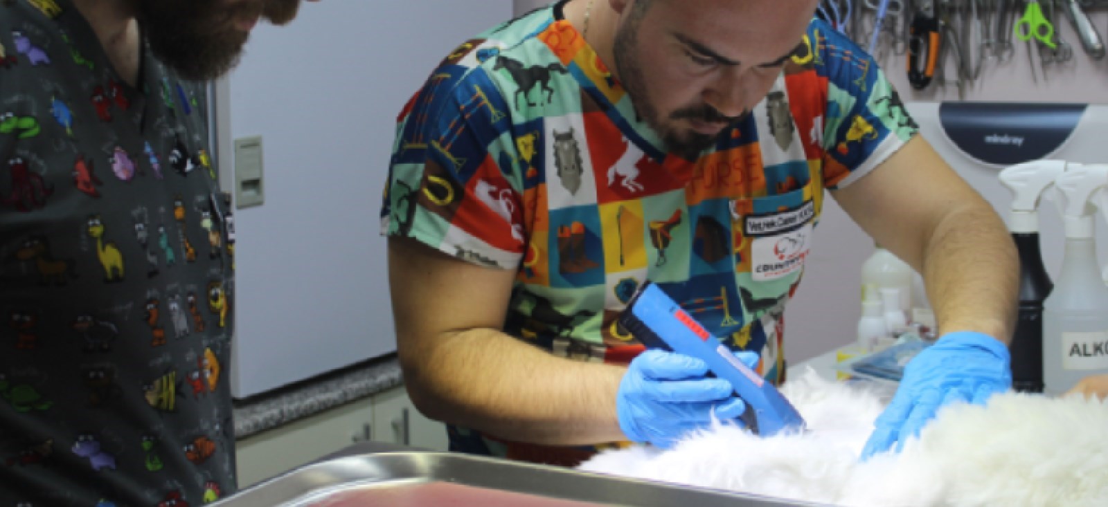 Profesyonel Bakım: Pet Kuaför Hizmeti, Profesyonel Bakım: Pet Kuaför Hizmeti