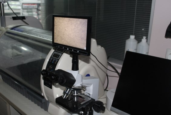 Countryvet’te Gelişmiş Laboratuvar Hizmetleri: Hızlı ve Güvenilir Tahliller, Countryvet,Gelişmiş,Laboratuvar,Hizmetleri,Hızlı,Güvenilir,Tahliler