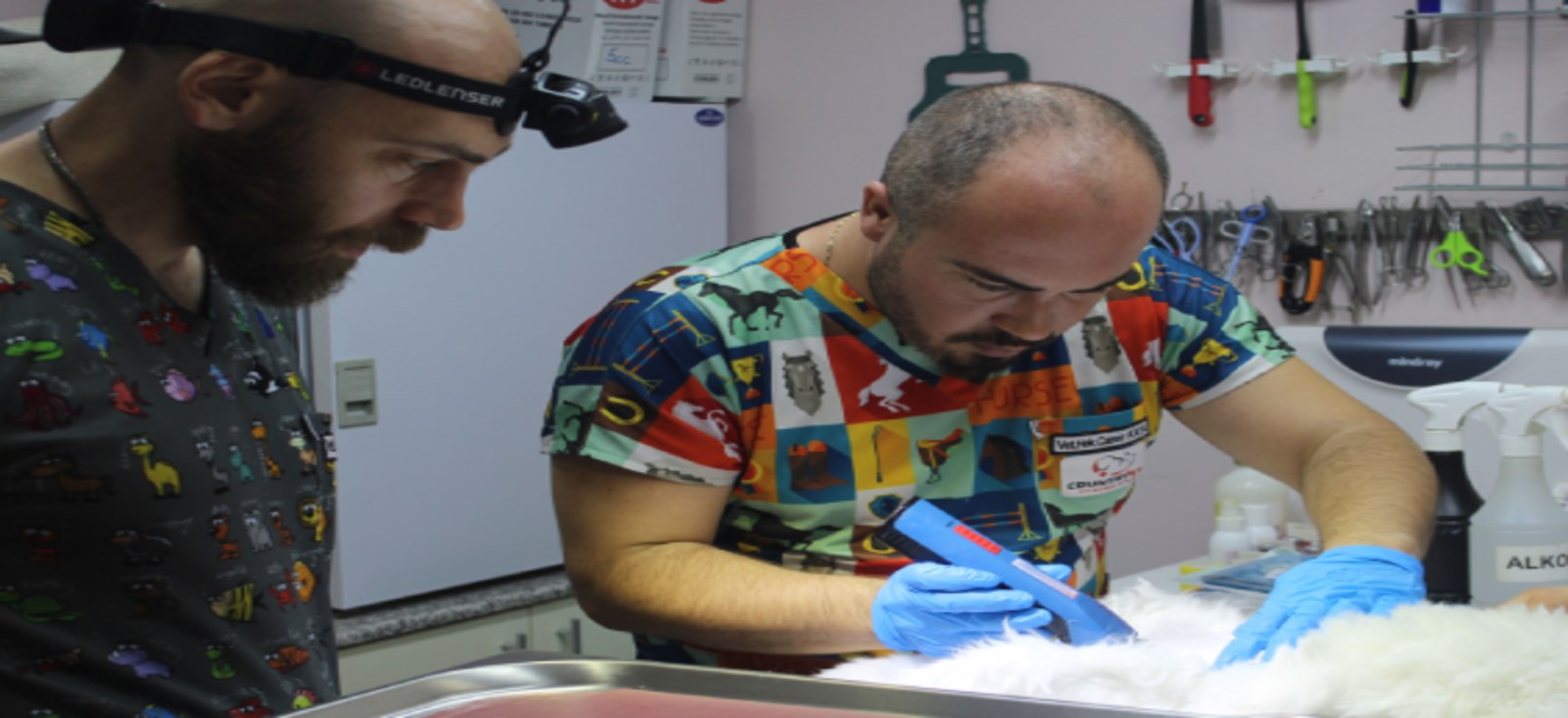 Countryvet Veteriner: Sevgiyle Büyüyen Dostlarımız İçin Kapsamlı Sağlık Hizmetleri, Sevgi,Büyümek,dostlar,Kapsamlı,sağlık ,Hizmetler,veteriner