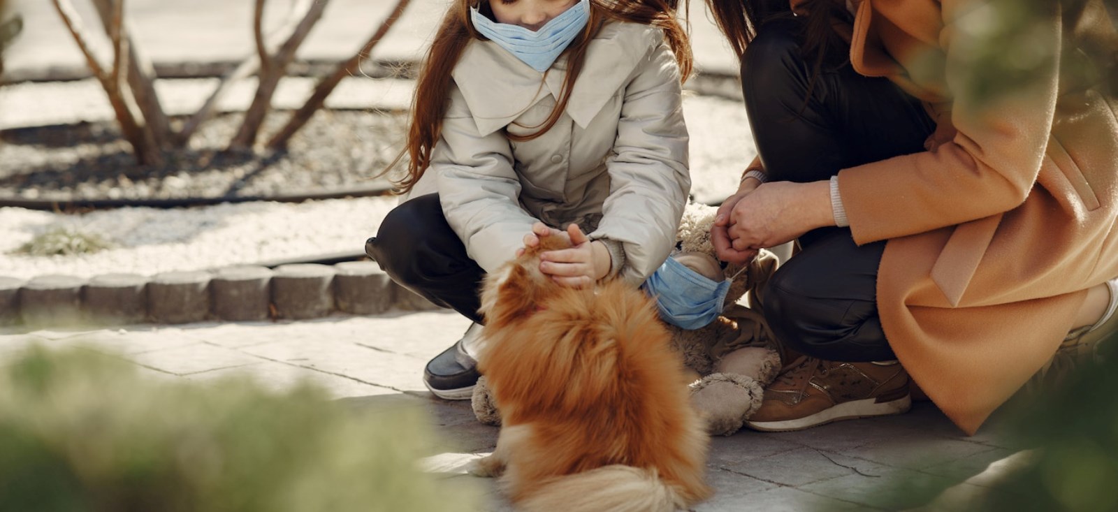 Koruyucu Hekimlikte Güvenilir Adres: CountryVet, Koruyucu Hekimlikte Güvenilir Adres: CountryVet
