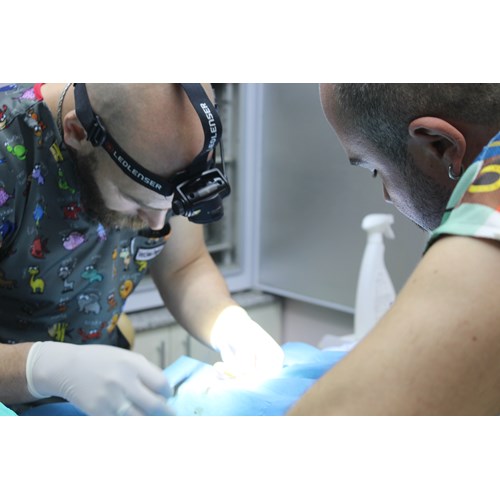 CountryVet Veteriner Kliniği: Neden Tercih Edilmeli?