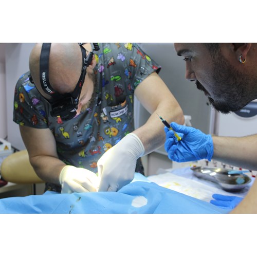 CountryVet Veteriner Kliniği: Neden Tercih Edilmeli?