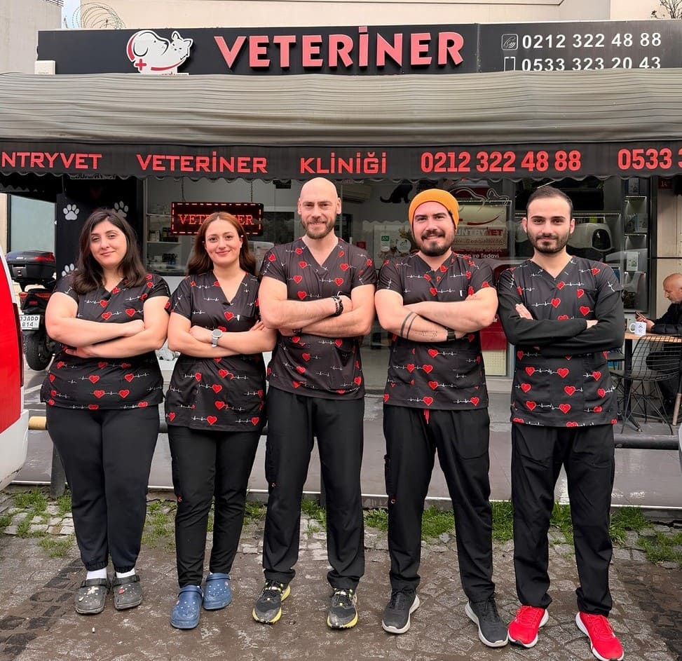 Countryvet Veteriner